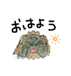 モルモットのオレオ君（個別スタンプ：7）