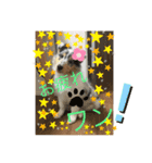 ラフコリーセリーヌ♡（個別スタンプ：5）