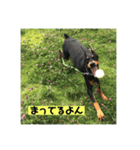 ガイア2019夏（個別スタンプ：5）
