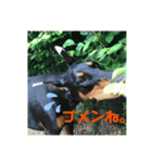 ガイア2019夏（個別スタンプ：8）
