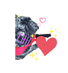 ⭐️..ワンワンFam..⭐️（個別スタンプ：5）