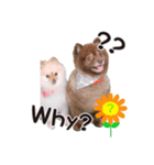 さくら＆ひまわり（個別スタンプ：1）