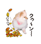 さくら＆ひまわり（個別スタンプ：3）