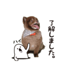 さくら＆ひまわり（個別スタンプ：7）