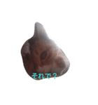 my cat name is ken！（個別スタンプ：2）