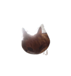 my cat name is ken！（個別スタンプ：4）