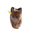 my cat name is ken！（個別スタンプ：6）