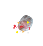 my cat name is ken！（個別スタンプ：8）