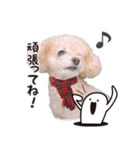 -ねぎちゃん-（個別スタンプ：3）