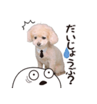 -ねぎちゃん-（個別スタンプ：7）