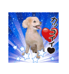 -ねぎちゃん-（個別スタンプ：8）