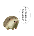 哲学的なハリネズミ（個別スタンプ：7）