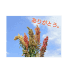 みれっと（個別スタンプ：3）