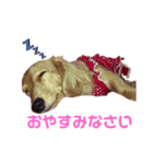 Melmo n’ Alice :-)（個別スタンプ：2）