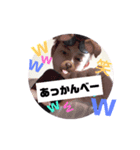 あやと夏（個別スタンプ：2）