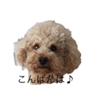 ななはちくう（個別スタンプ：7）