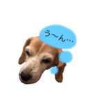 はなちゃん8787（個別スタンプ：7）