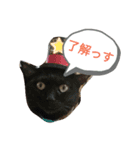 みーちゃんとあずき（個別スタンプ：2）