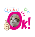みーちゃんとあずき（個別スタンプ：7）