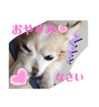 レン君のご挨拶（個別スタンプ：4）
