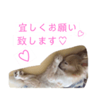 レン君のご挨拶（個別スタンプ：7）