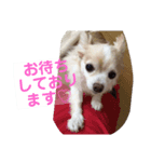 レン君のご挨拶（個別スタンプ：8）