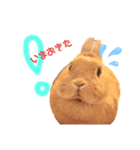 りんちゃんとちるしよ（個別スタンプ：4）