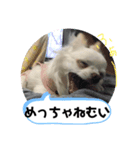 とぅぶちゃんスタンプ2！（個別スタンプ：2）