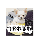 とぅぶちゃんスタンプ2！（個別スタンプ：3）