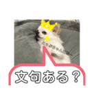 とぅぶちゃんスタンプ2！（個別スタンプ：4）