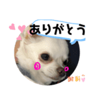 とぅぶちゃんスタンプ2！（個別スタンプ：8）