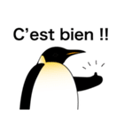 ダンディペンギン フランス語版（個別スタンプ：1）