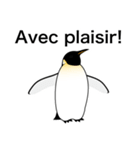 ダンディペンギン フランス語版（個別スタンプ：2）