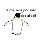 ダンディペンギン フランス語版（個別スタンプ：17）