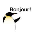 ダンディペンギン フランス語版（個別スタンプ：19）