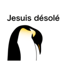ダンディペンギン フランス語版（個別スタンプ：21）