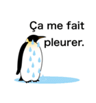 ダンディペンギン フランス語版（個別スタンプ：23）