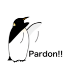 ダンディペンギン フランス語版（個別スタンプ：24）