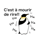 ダンディペンギン フランス語版（個別スタンプ：26）