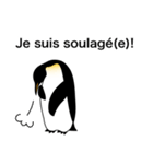 ダンディペンギン フランス語版（個別スタンプ：28）