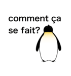 ダンディペンギン フランス語版（個別スタンプ：35）