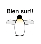 ダンディペンギン フランス語版（個別スタンプ：36）