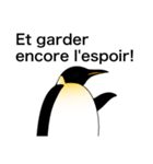 ダンディペンギン フランス語版（個別スタンプ：39）
