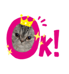 猫のまちこスタンプ（個別スタンプ：4）