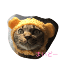 小夏san（個別スタンプ：6）