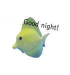 海水魚～海の仲間たち～（個別スタンプ：2）