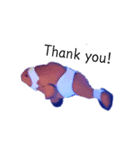 海水魚～海の仲間たち～（個別スタンプ：4）