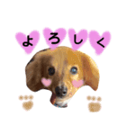 清水家のポテトくん②（個別スタンプ：3）