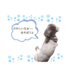 清水家のポテトくん②（個別スタンプ：4）