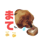 清水家のポテトくん②（個別スタンプ：5）